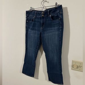 American Eagle Artist Crop. Size 16